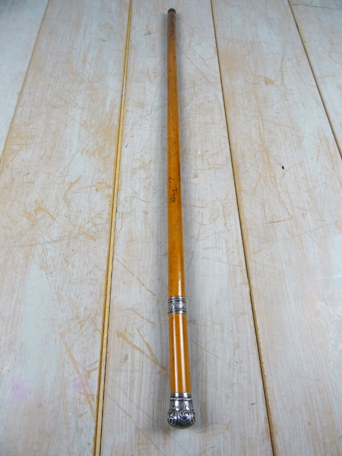 A Fine Quality 19th C Walking Stick Sword Stick (18).JPG